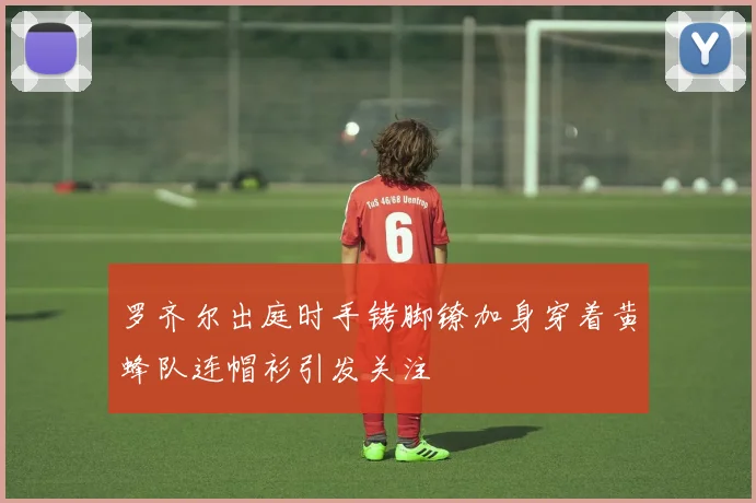 罗齐尔出庭时手铐脚镣加身穿着黄蜂队连帽衫引发关注