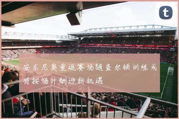 安东尼奥重返赛场随查尔顿训练或将按场计酬迎新机遇