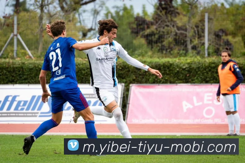 易倍体育发展历程